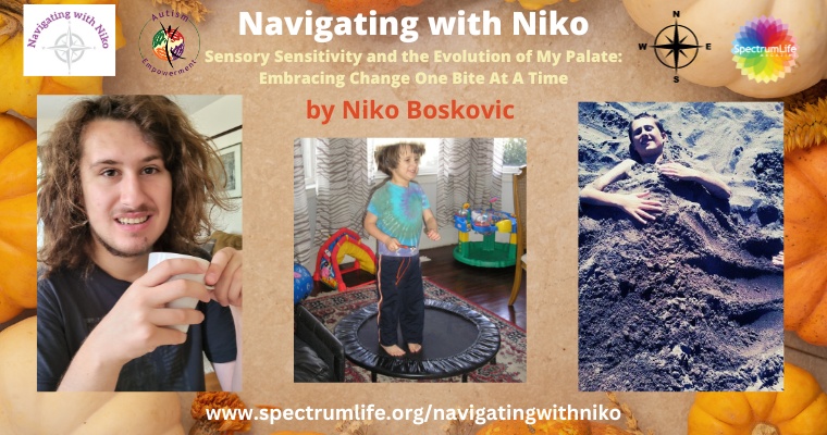 Navigating with Niko