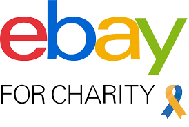 ebay for charity